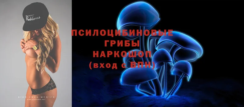 hydra как войти  Всеволожск  Галлюциногенные грибы Psilocybine cubensis 